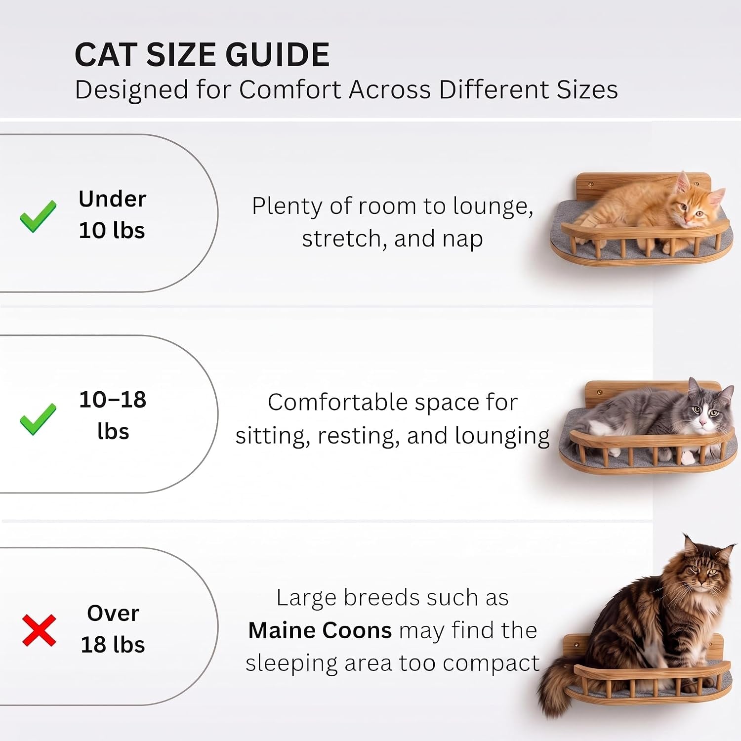 Cat Wall Shelves, Floating Bed with 3 Cat Wall Steps - Natural | Pre-Drilled Anchor Kit for Easy Mount, Cozy Spot for Climbing & Play, Indoor Cats up to 18 Lbs, Sustainable FSC Birch Wood