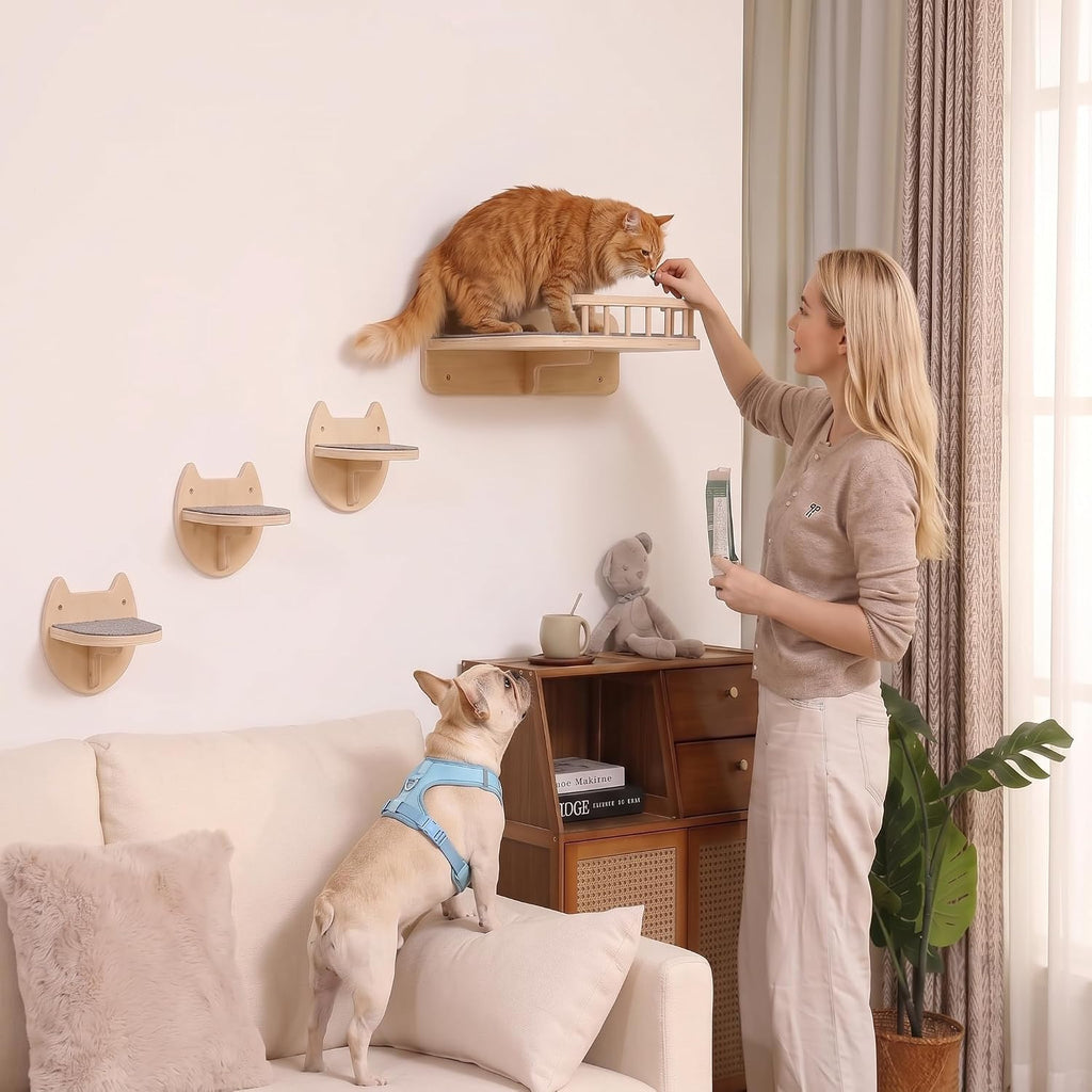 Cat Wall Shelves, Floating Bed with 3 Cat Wall Steps - Natural | Pre-Drilled Anchor Kit for Easy Mount, Cozy Spot for Climbing & Play, Indoor Cats up to 18 Lbs, Sustainable FSC Birch Wood