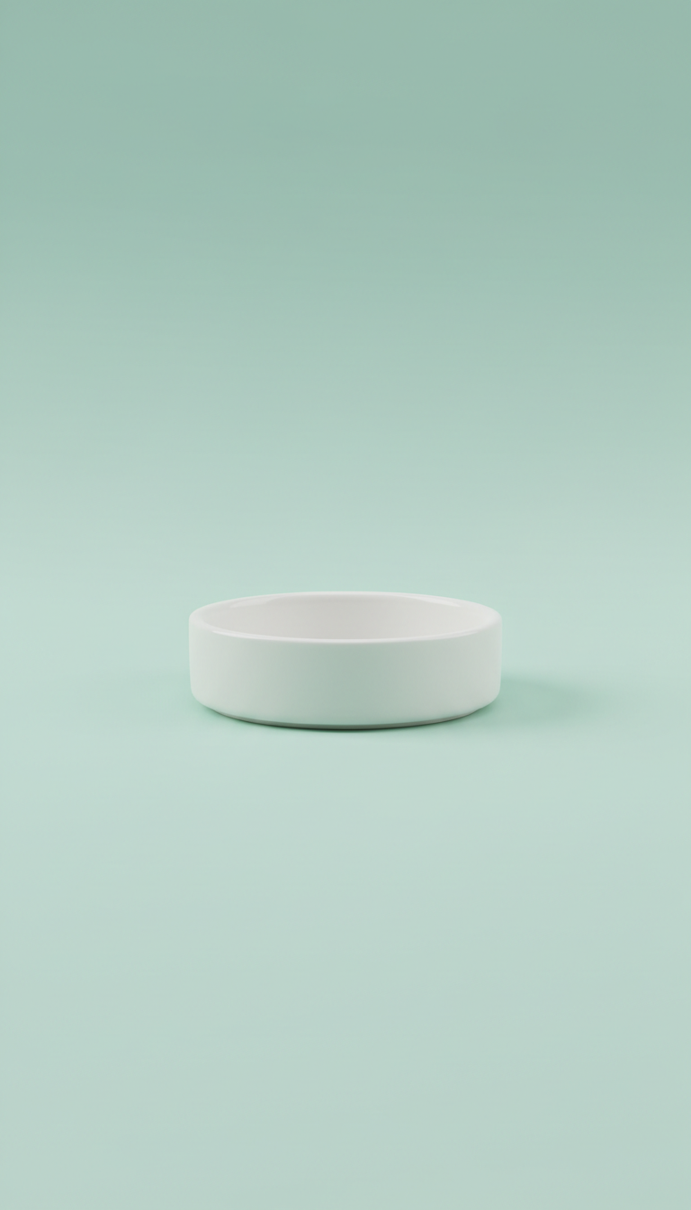 Cloud White Ceramic Pet Bowl