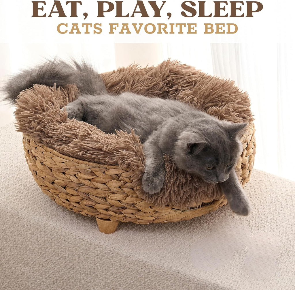 Cat Luxury Cat Bed for Indoor Cats, Plush Furniture for Comfort and Relaxation, Soft Covered Nest for Cats, Washable Warm Design with Modern Zen Style