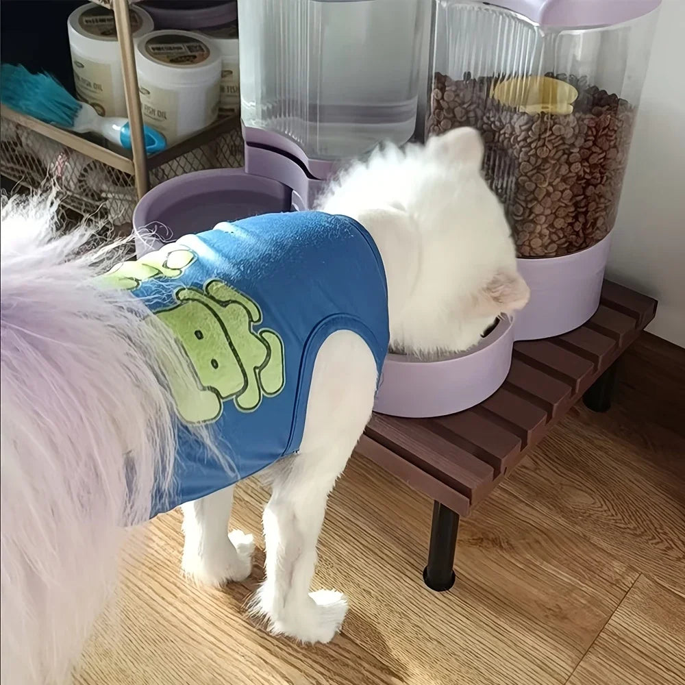 1 PC Fixed Height Cat Feeding Stand Plastic Pet Dish Holder Feeding Station Protects Pet Neck for Pet Dogs Cats Indoor Pet Mat