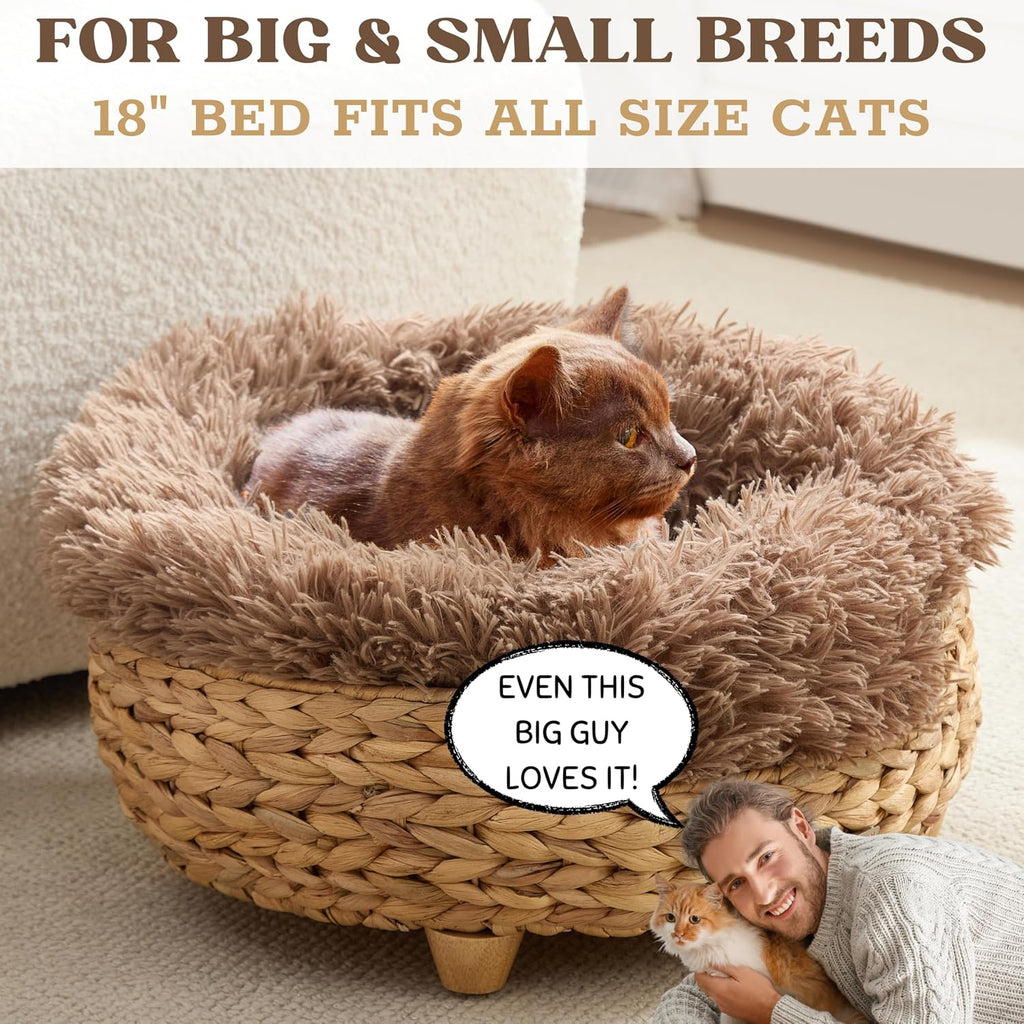 Cat Luxury Cat Bed for Indoor Cats, Plush Furniture for Comfort and Relaxation, Soft Covered Nest for Cats, Washable Warm Design with Modern Zen Style
