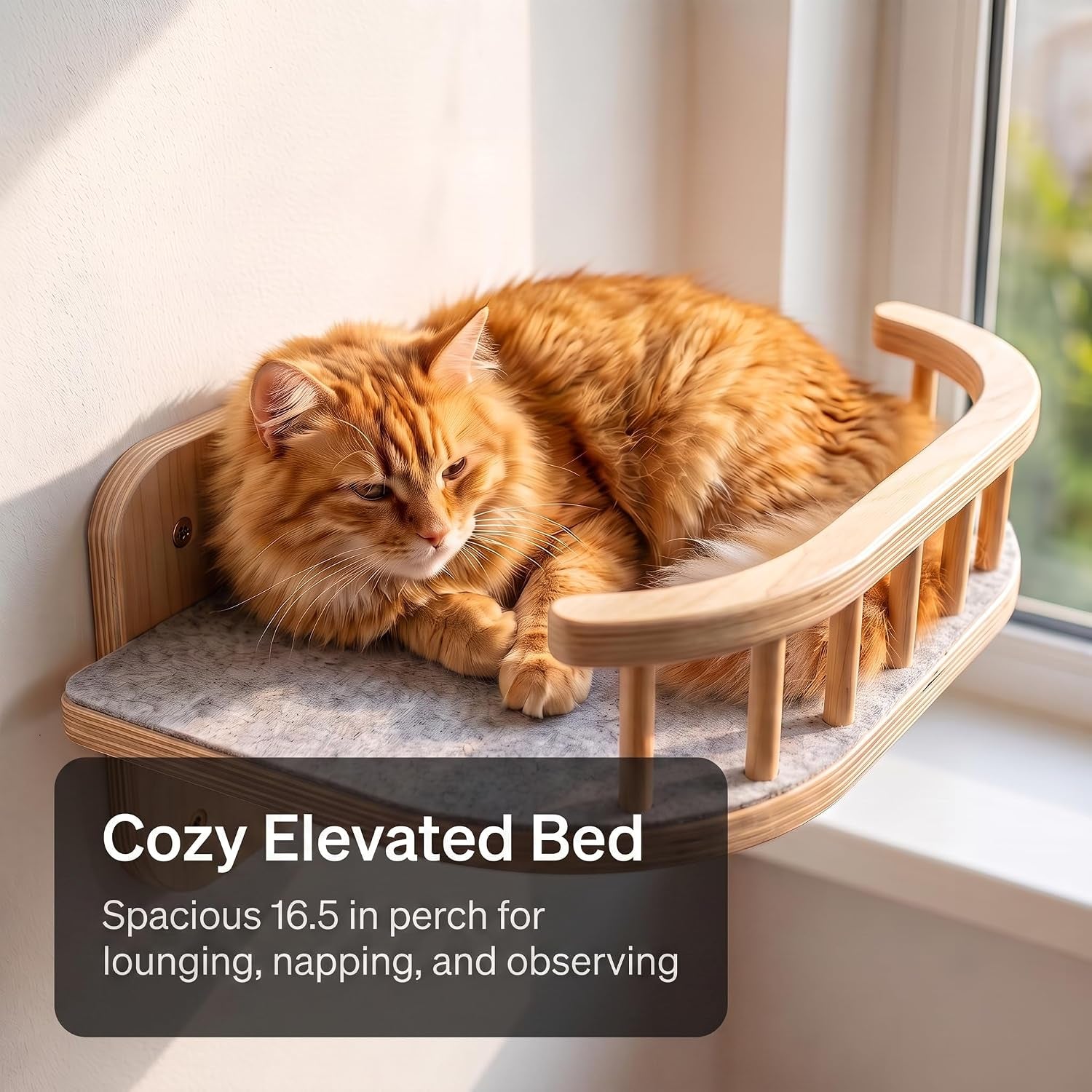 Cat Wall Shelves, Floating Bed with 3 Cat Wall Steps - Natural | Pre-Drilled Anchor Kit for Easy Mount, Cozy Spot for Climbing & Play, Indoor Cats up to 18 Lbs, Sustainable FSC Birch Wood