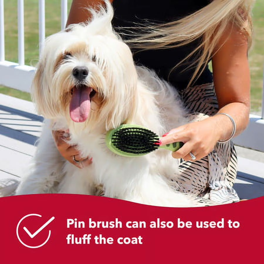 Safari Dog Pin and Bristle Combo Brush, Large