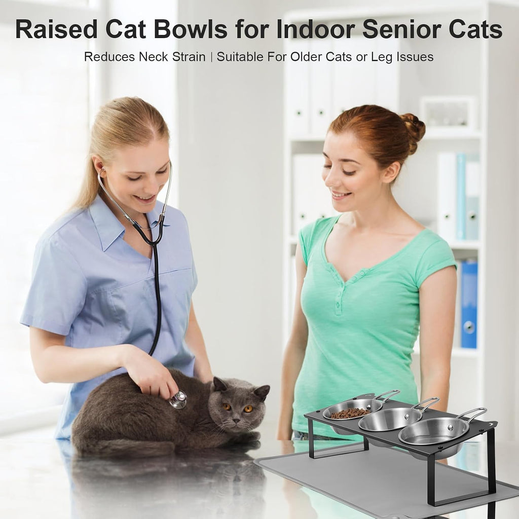 Elevated Cat Bowls with Food Mat, 10°Tilted Non-Slip Raised Cat Food Water Bowls Set, 3 Thick Stainless Steel Pets Dishes with Handles to Indoor Kitten Puppy, Anti-Vomiting Cute Metal Feeding Stand